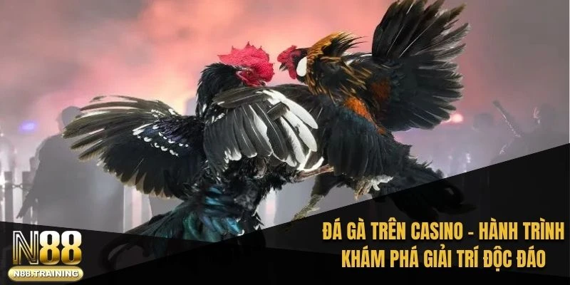 đá gà trên casino