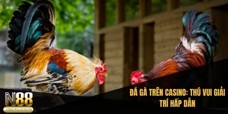 Đá gà trên casino: Thú vui giải trí hấp dẫn