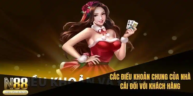 Một số lưu ý quan trọng trong điều khoản và điều kiện