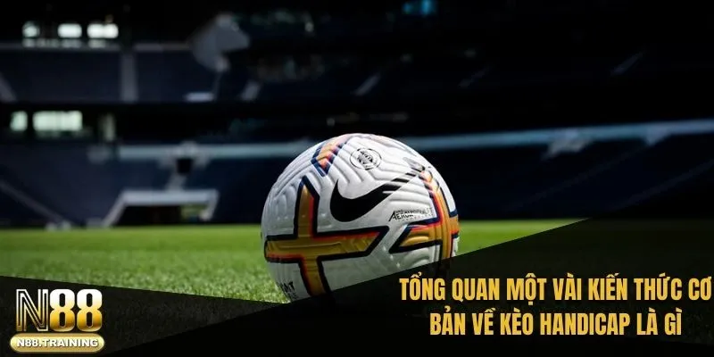 Tổng quan một vài kiến thức cơ bản về kèo handicap là gì
