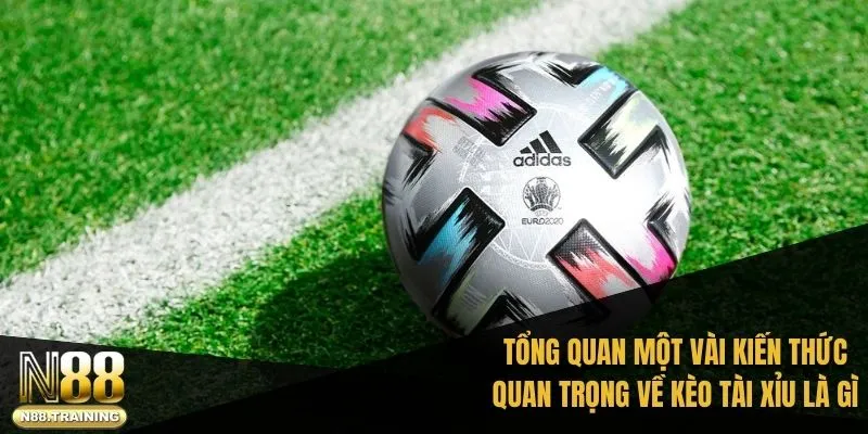 Tổng quan một vài kiến thức quan trọng về kèo tài xỉu là gì