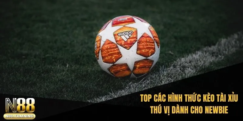 TOP các hình thức kèo tài xỉu thú vị dành cho newbie